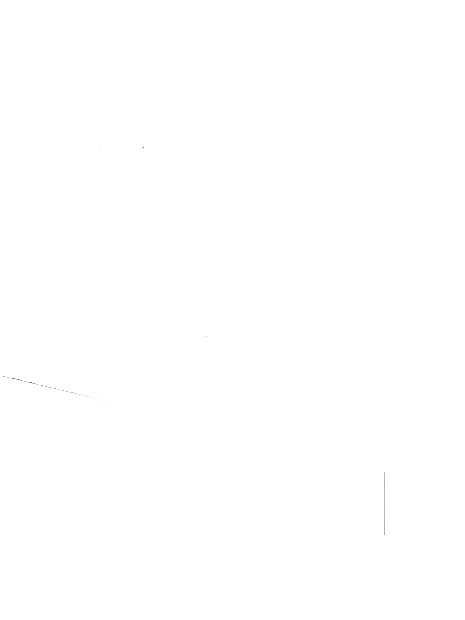 BigWing